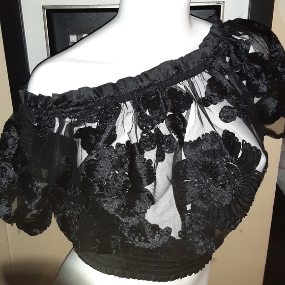 Sheer and satin applique top - Picture 2 of 4